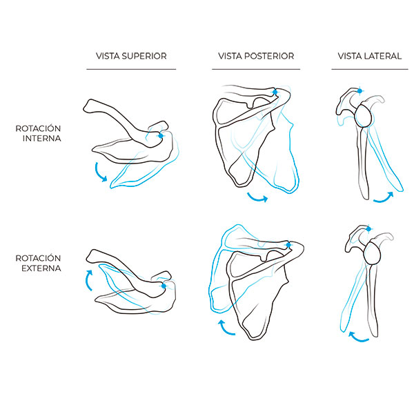 tendinitis-del-manguito-rotador-que-es