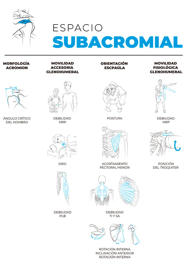 tendinitis-manguito-rotador-espacio-subacromial